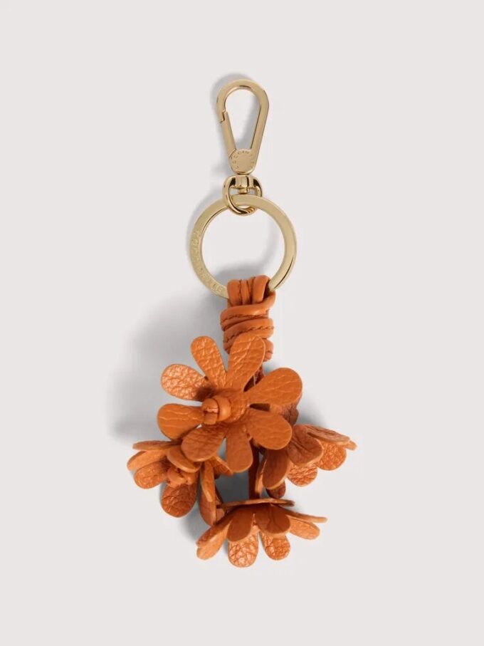 Coccinelle Çiçekleri