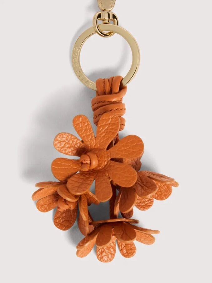 Coccinelle Çiçekleri